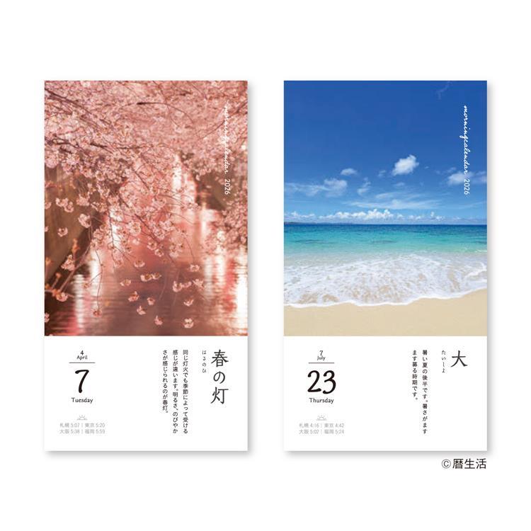 Morning Daily Calendar 2026 / Shin Nihon Calendar