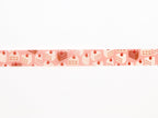 mt Maruichikyuu Strawberry Cake