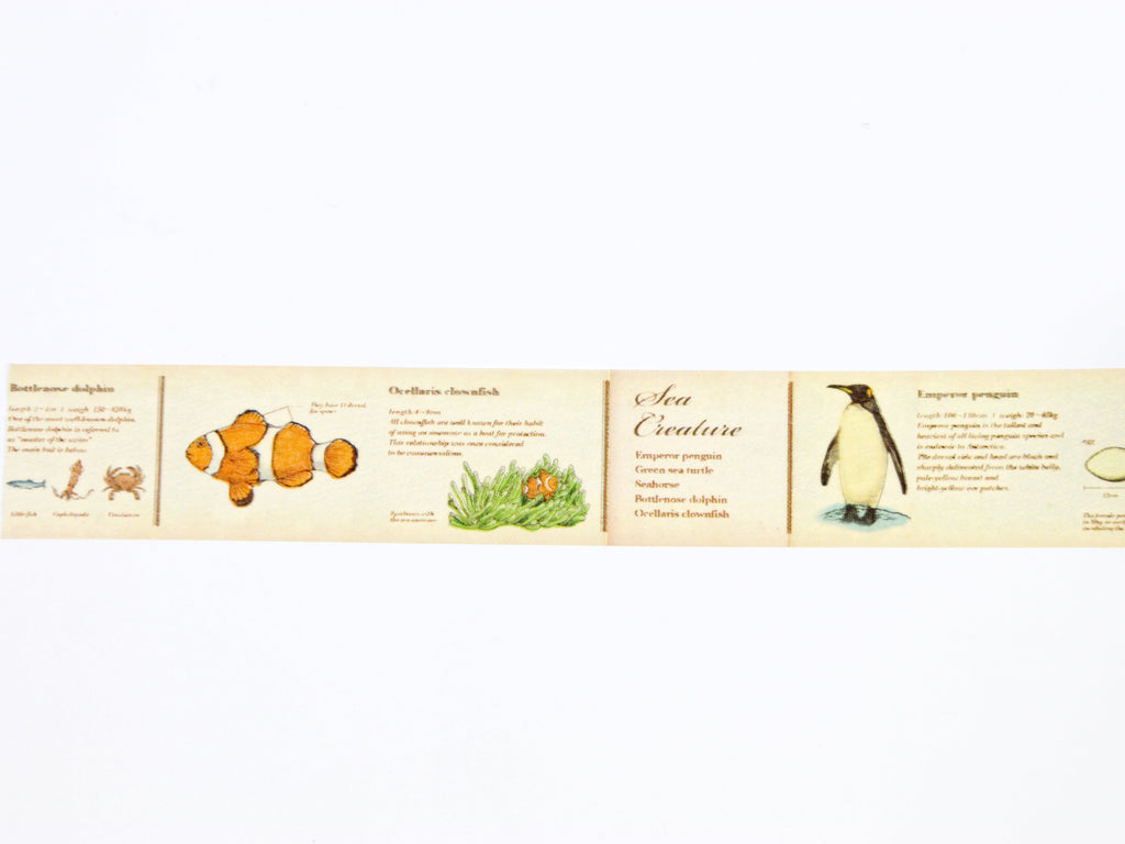 mt ex Encyclopedia of Marine Life
