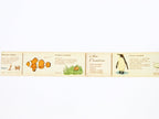 mt ex Encyclopedia of Marine Life