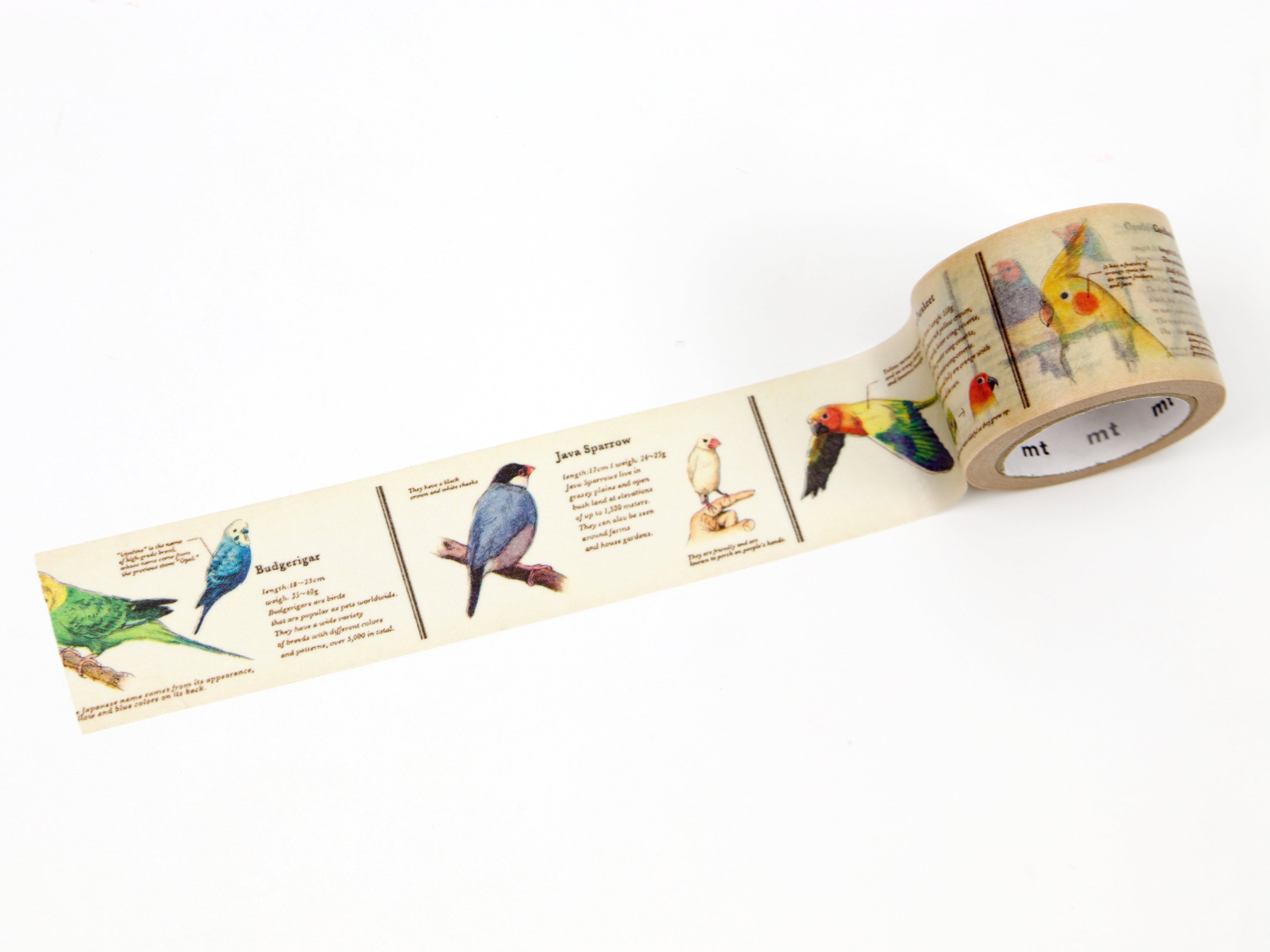 mt ex Encyclopedia of Birds