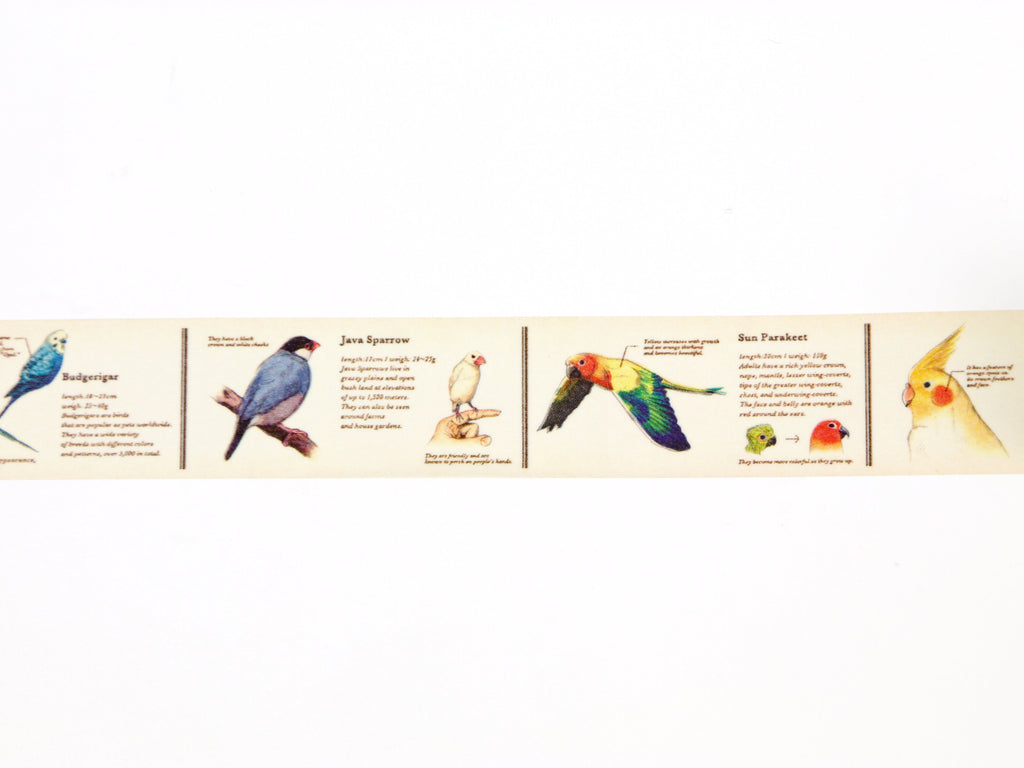 mt ex Encyclopedia of Birds