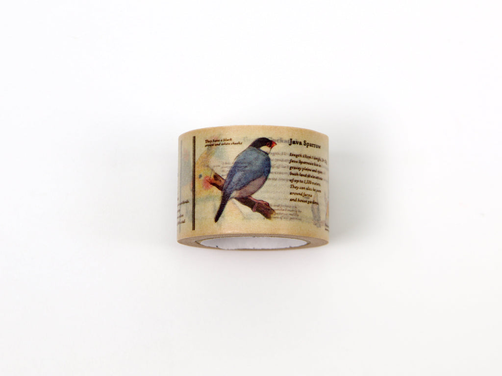 mt ex Encyclopedia of Birds