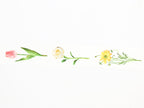 mt EX Floral Stems
