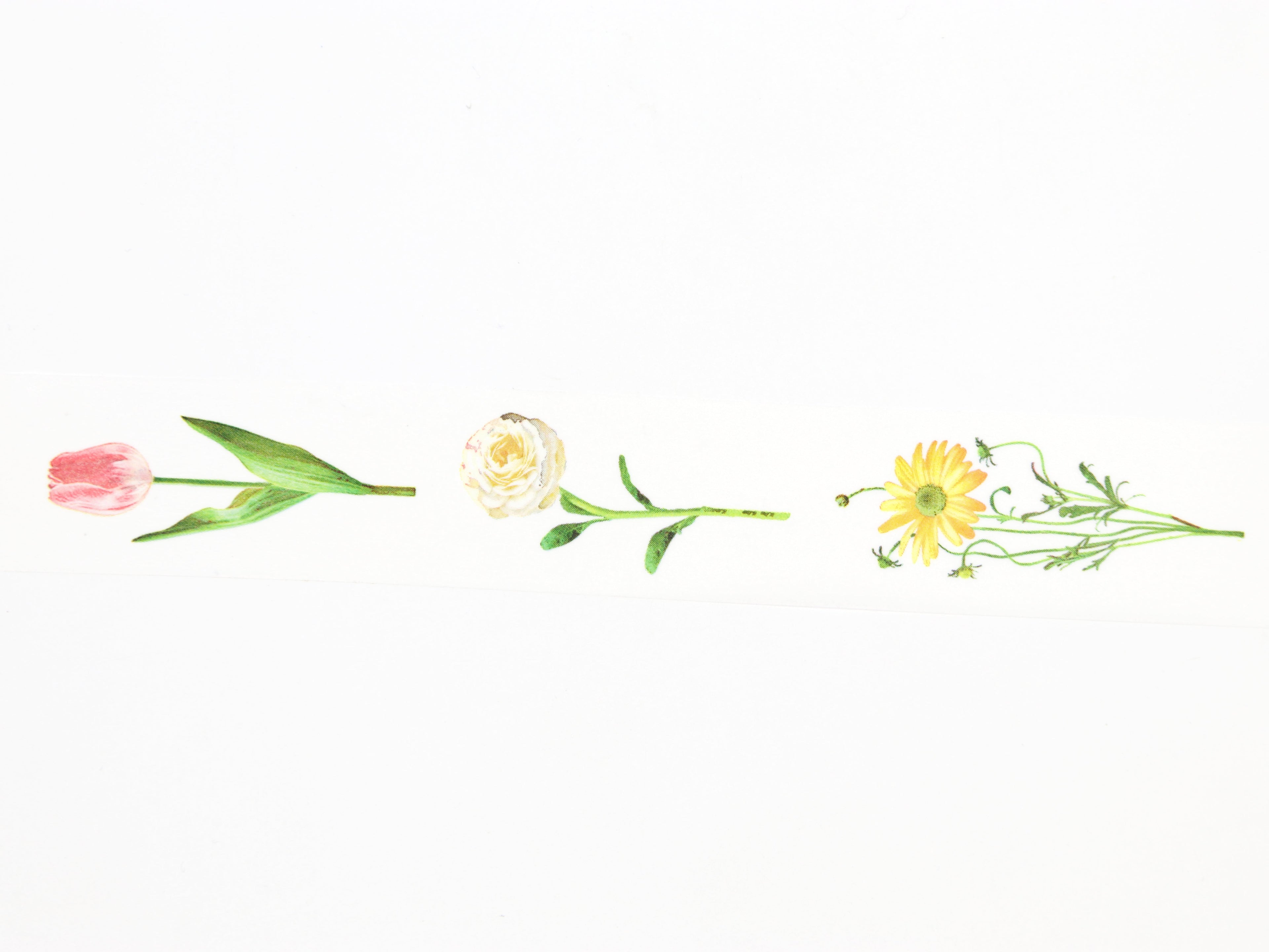 mt EX Floral Stems