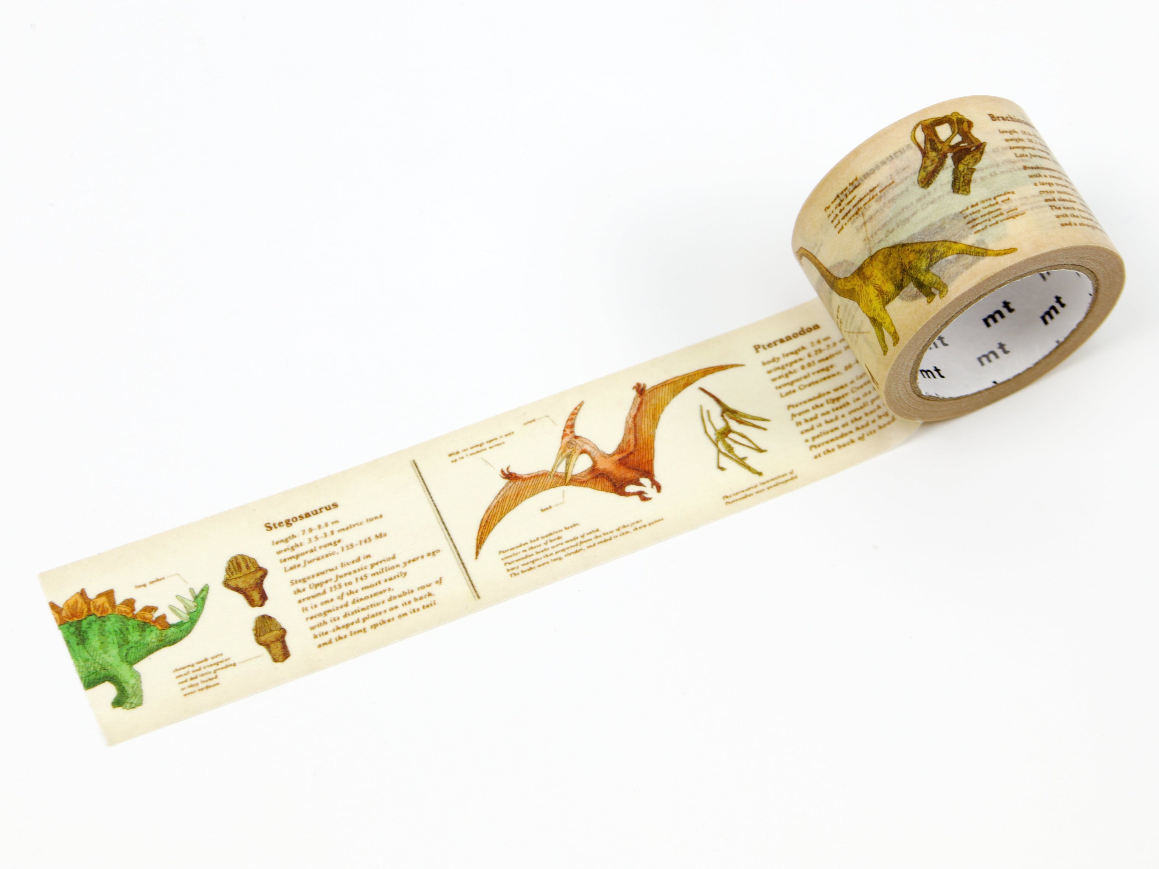mt ex Encyclopedia of Dinosaurs