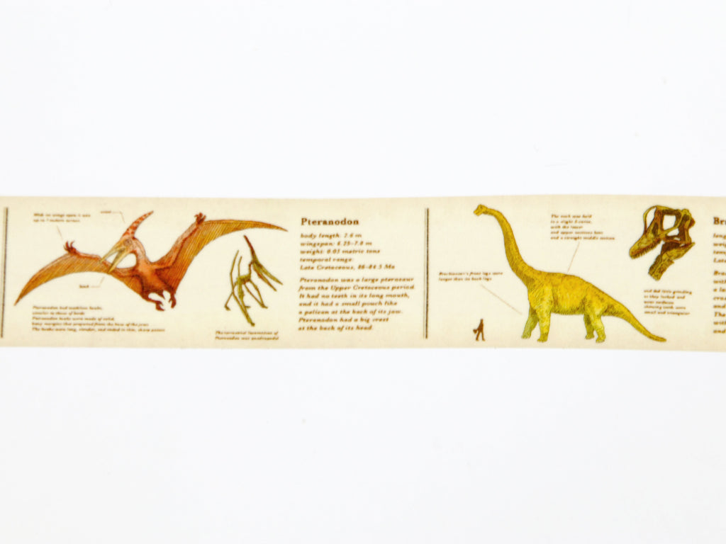 mt ex Encyclopedia of Dinosaurs