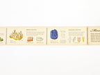 mt ex Encyclopedia of Minerals