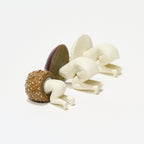 Mushroom Fairy Gacha Capsule