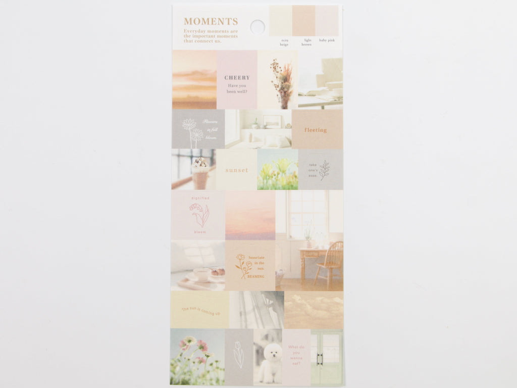 Mind Wave Moments Colorway Stickers