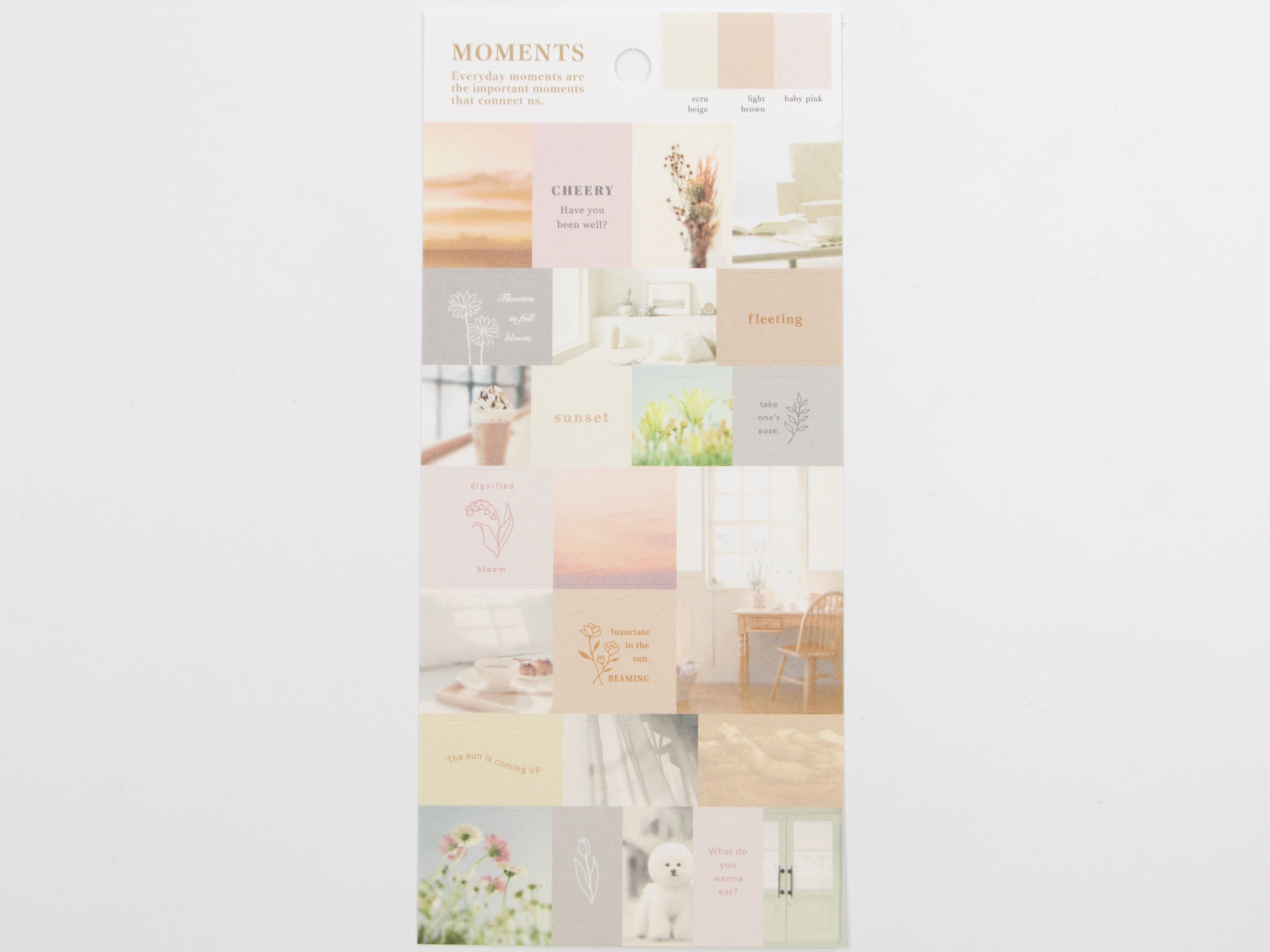 Mind Wave Moments Colorway Stickers