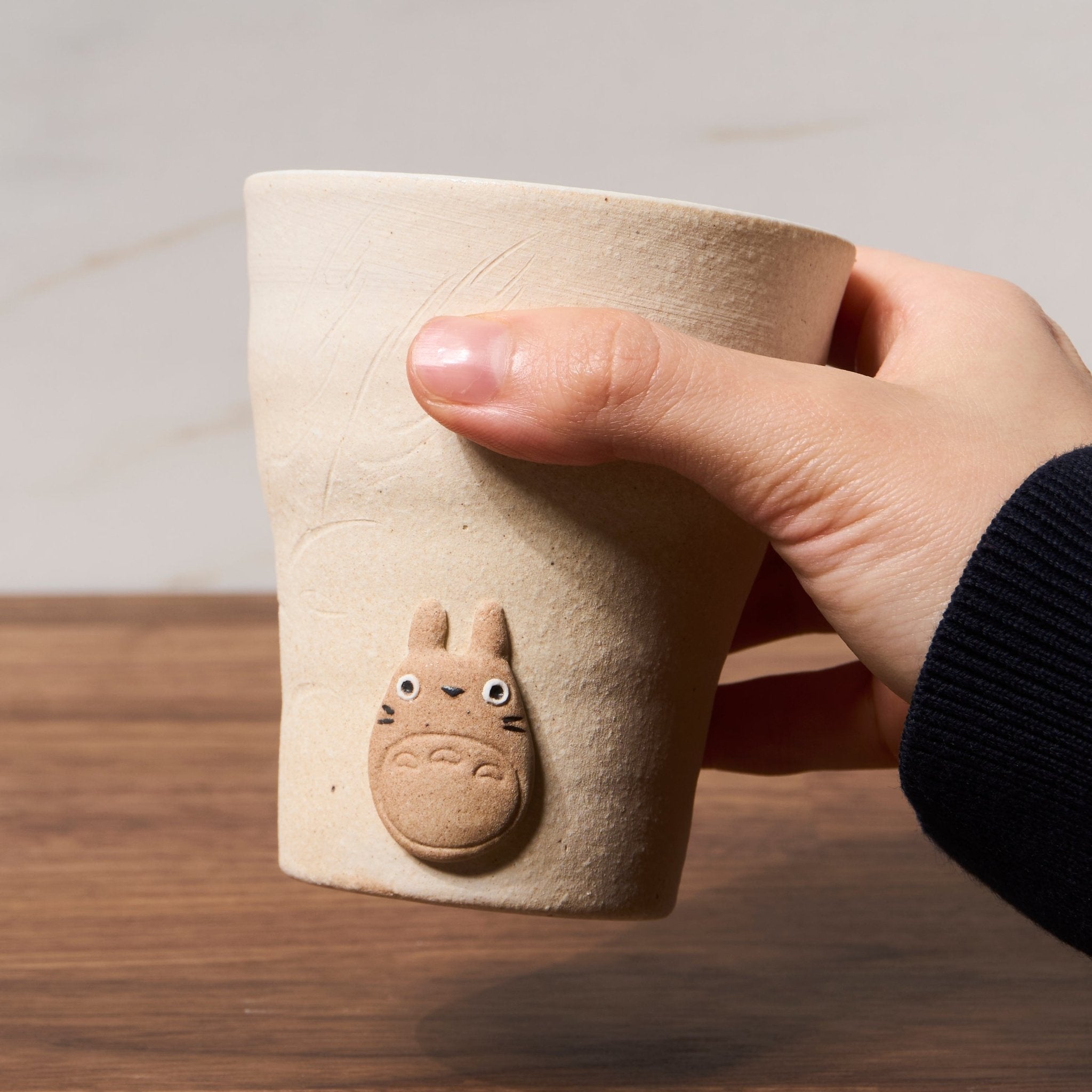 My Neighbor Totoro Shigarakiyaki Ceramic Cup Studio Ghibli / Meizan Kiln