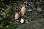 My Neighbor Totoro Shigarakiyaki Ceramic Figurine Set Studio Ghibli / Meizan Kiln