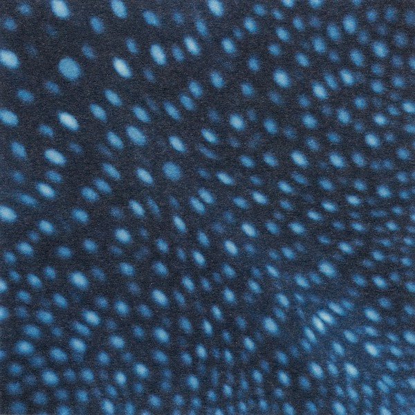 Ocean Origami Set / Marumo Printing