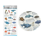 Otonano Zukan 3D Stickers / Kamio Japan