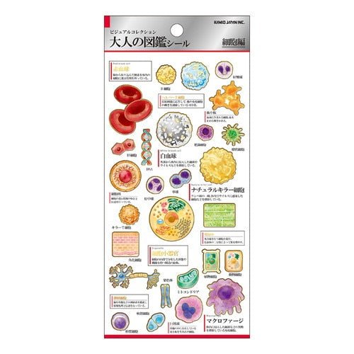 Otonano Zukan Nature and Animals Stickers / Kamio Japan