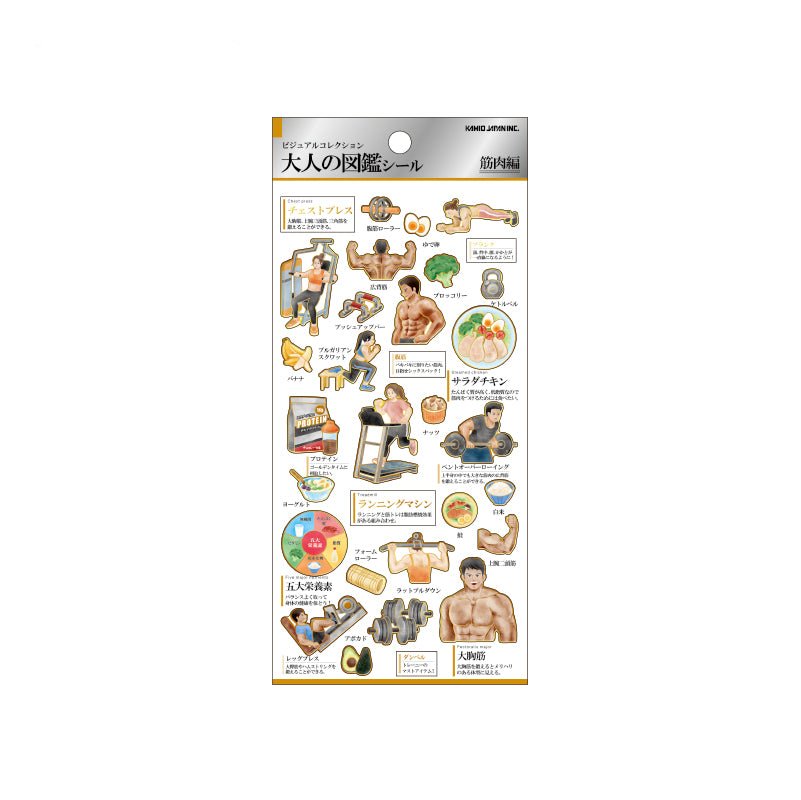 Otonano Zukan Hobbies and Professions Stickers / Kamio Japan