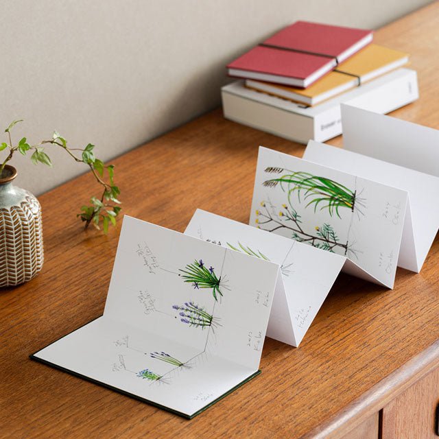 Panorama Notebook / TAISEI