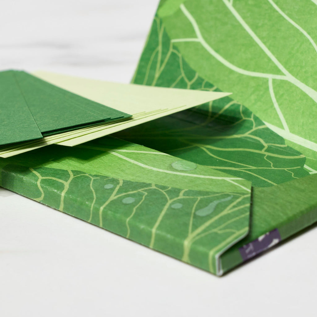 Paper Card Case / ICHIKUDO