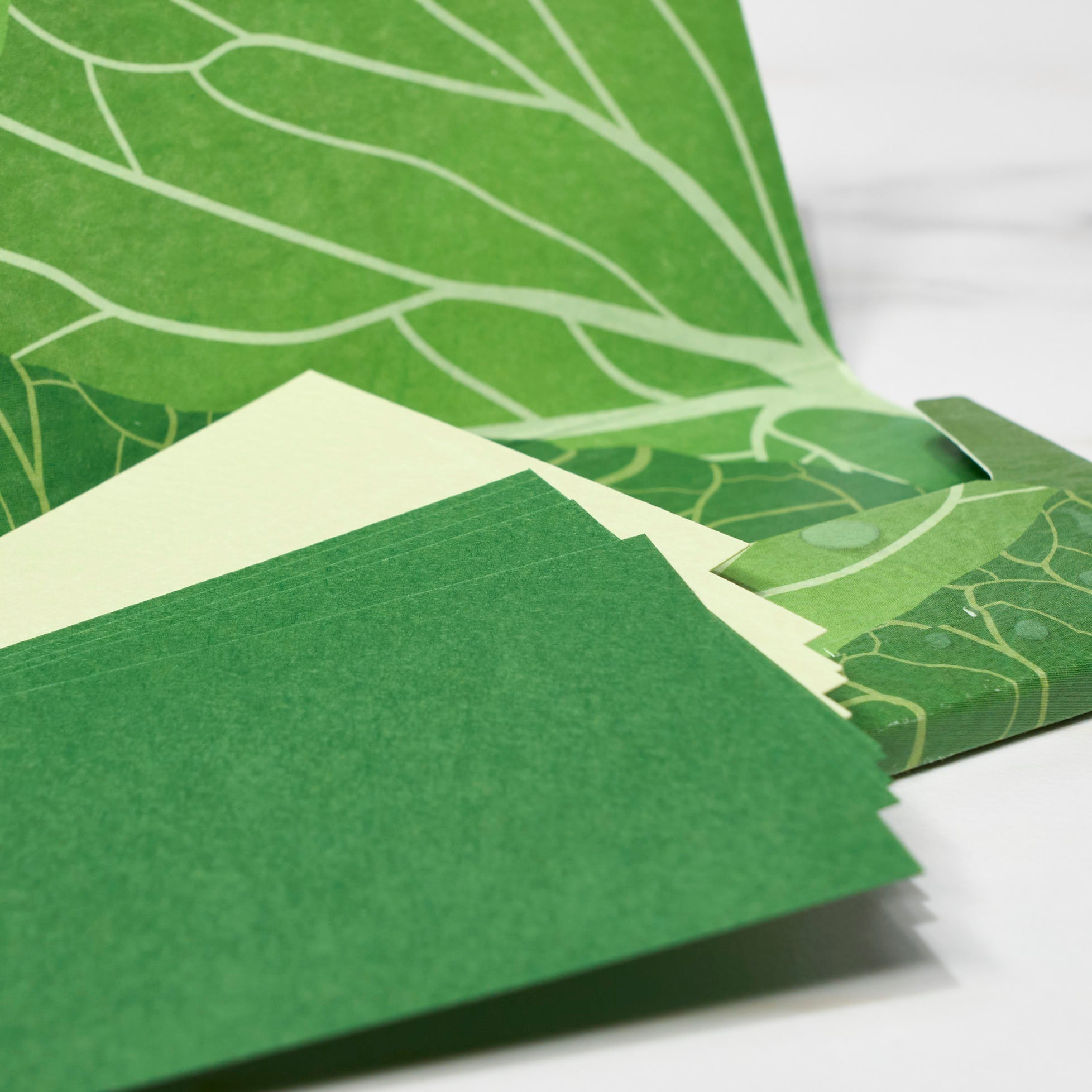 Paper Card Case / ICHIKUDO
