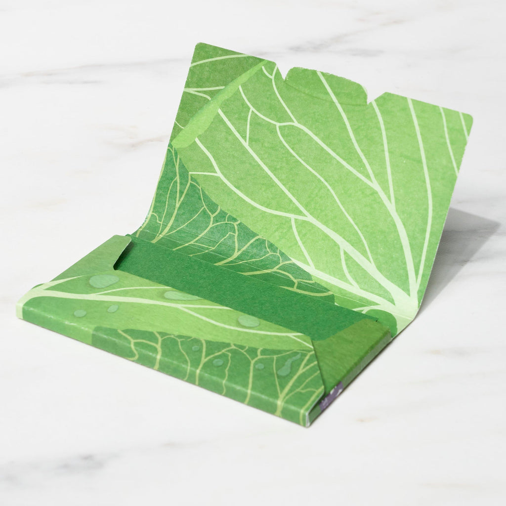 Paper Card Case / ICHIKUDO