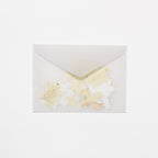 Pazulette Letter Set / archshop