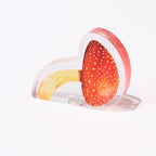 Popping Surprise Magnets Gacha Capsule