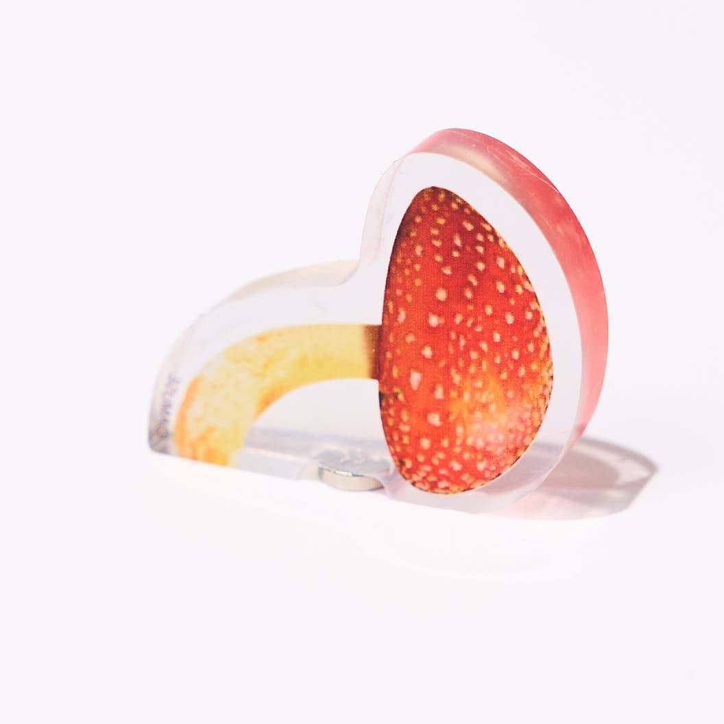 Popping Surprise Magnets Gacha Capsule