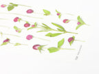 Appree Pressed Flower Stickers