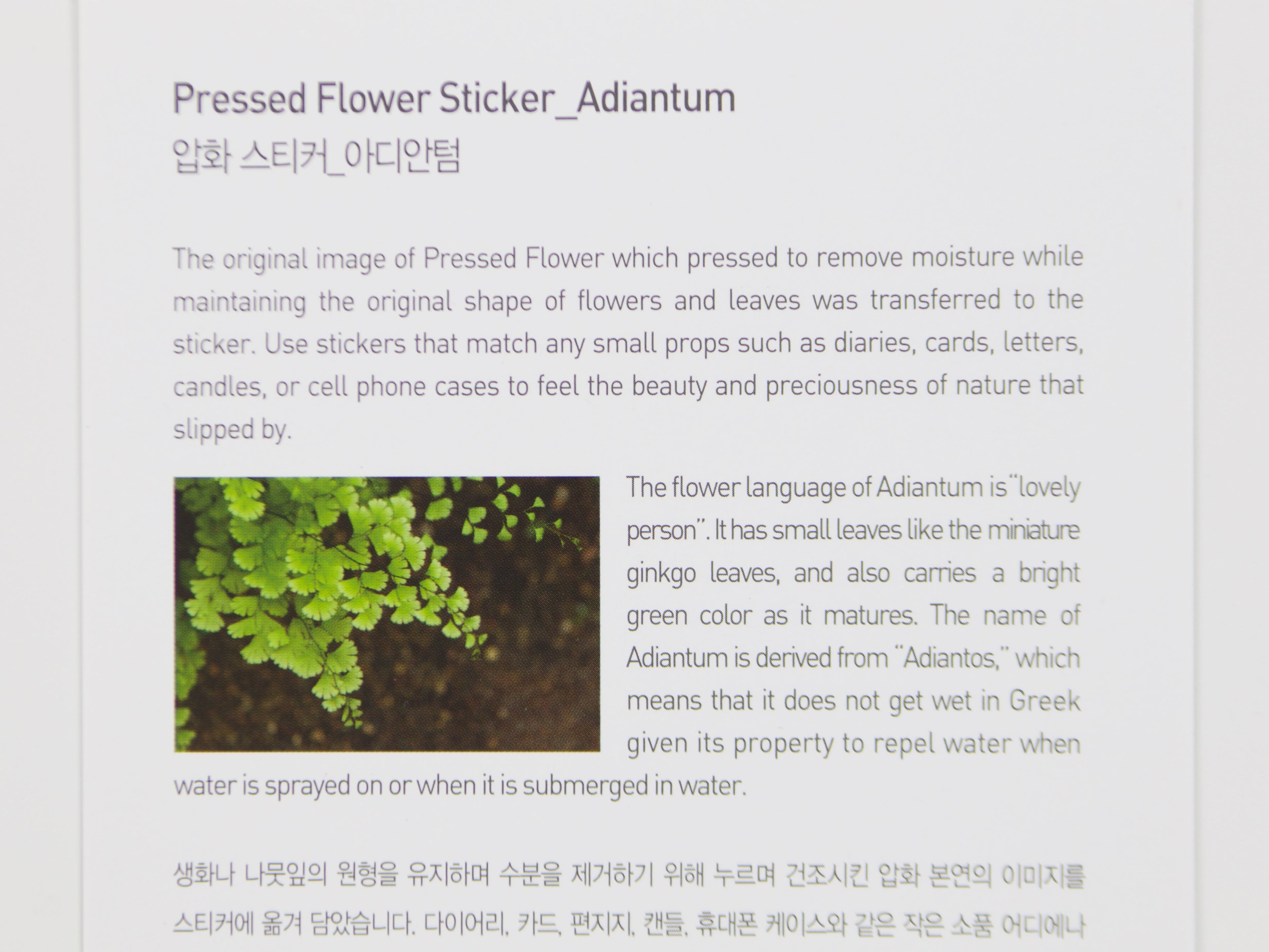 Appree Pressed Flower Stickers