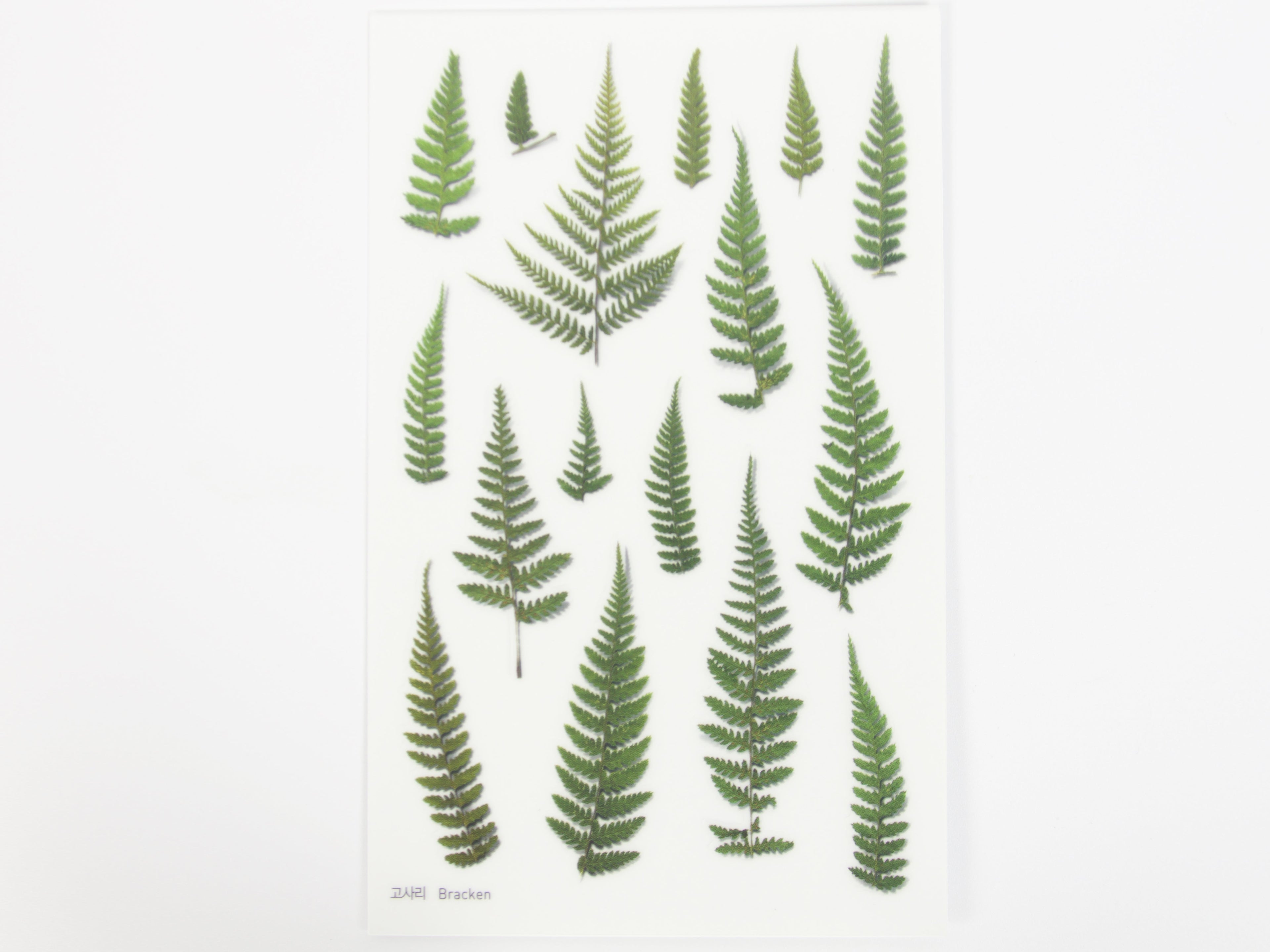 Appree Pressed Flower Stickers