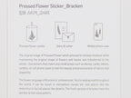 Appree Pressed Flower Stickers