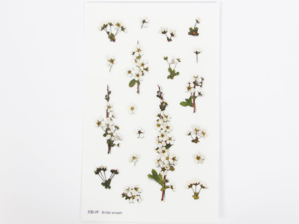 Appree Pressed Flower Stickers