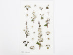 Appree Pressed Flower Stickers