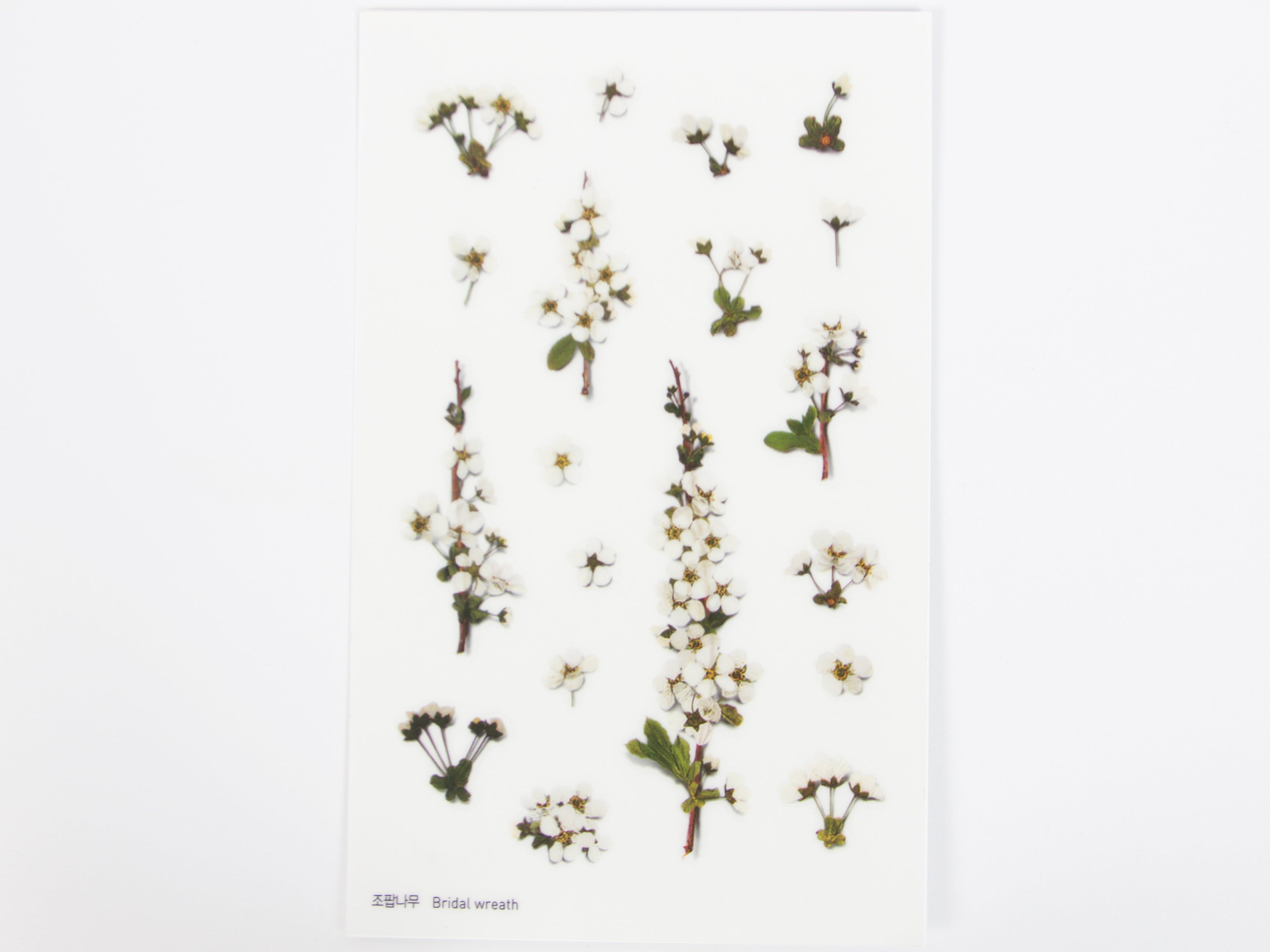 Appree Pressed Flower Stickers