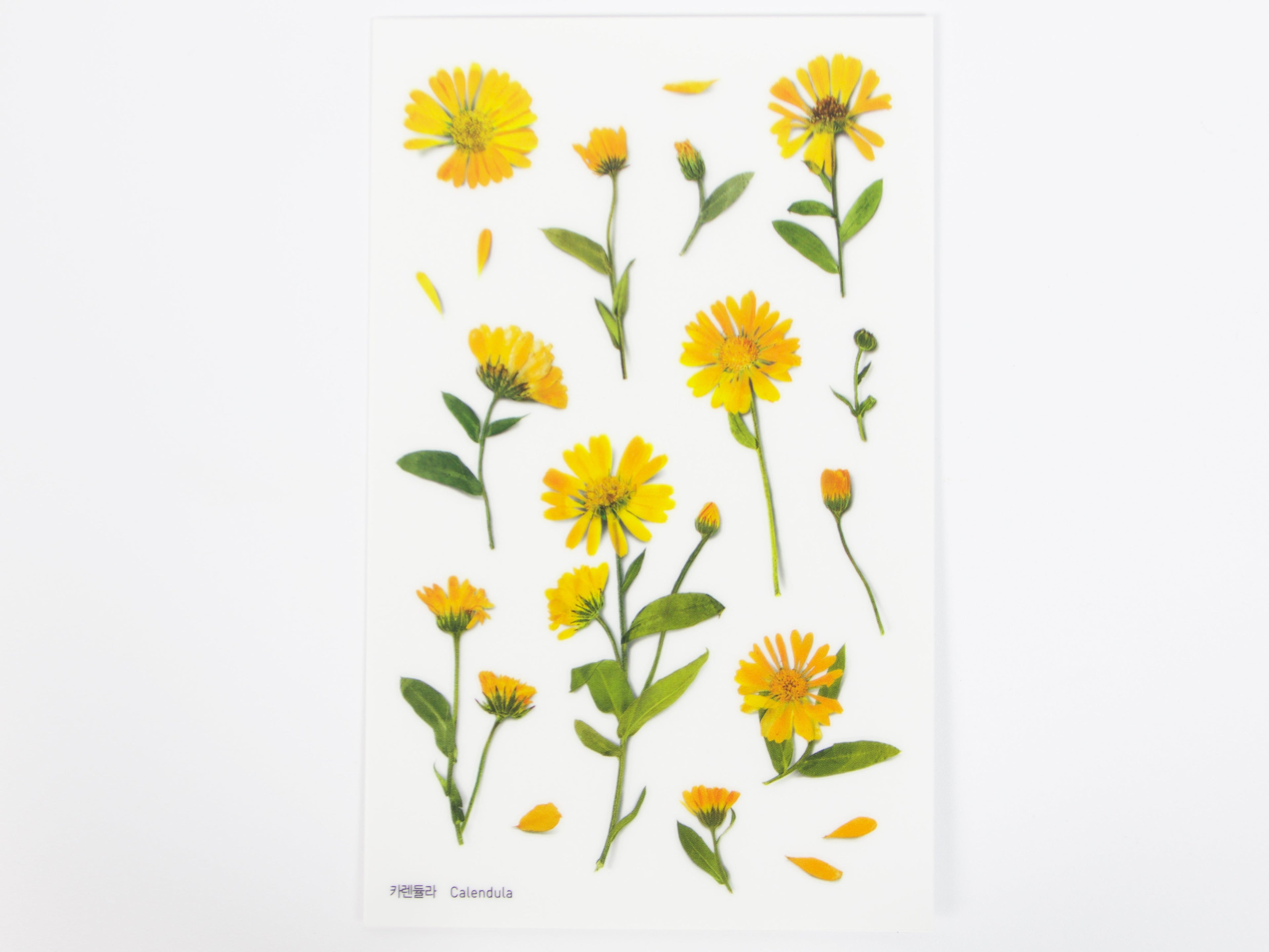 Appree Pressed Flower Stickers