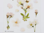 Appree Pressed Flower Stickers