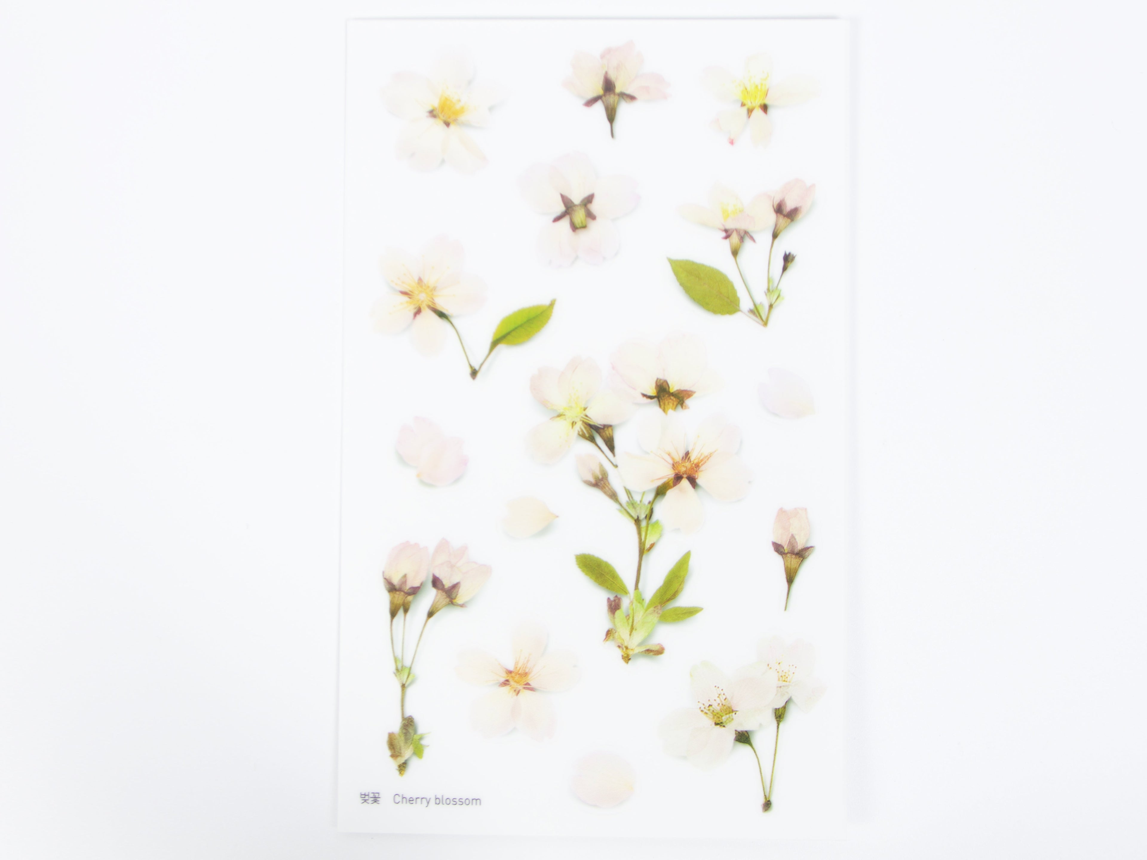 Appree Pressed Flower Stickers