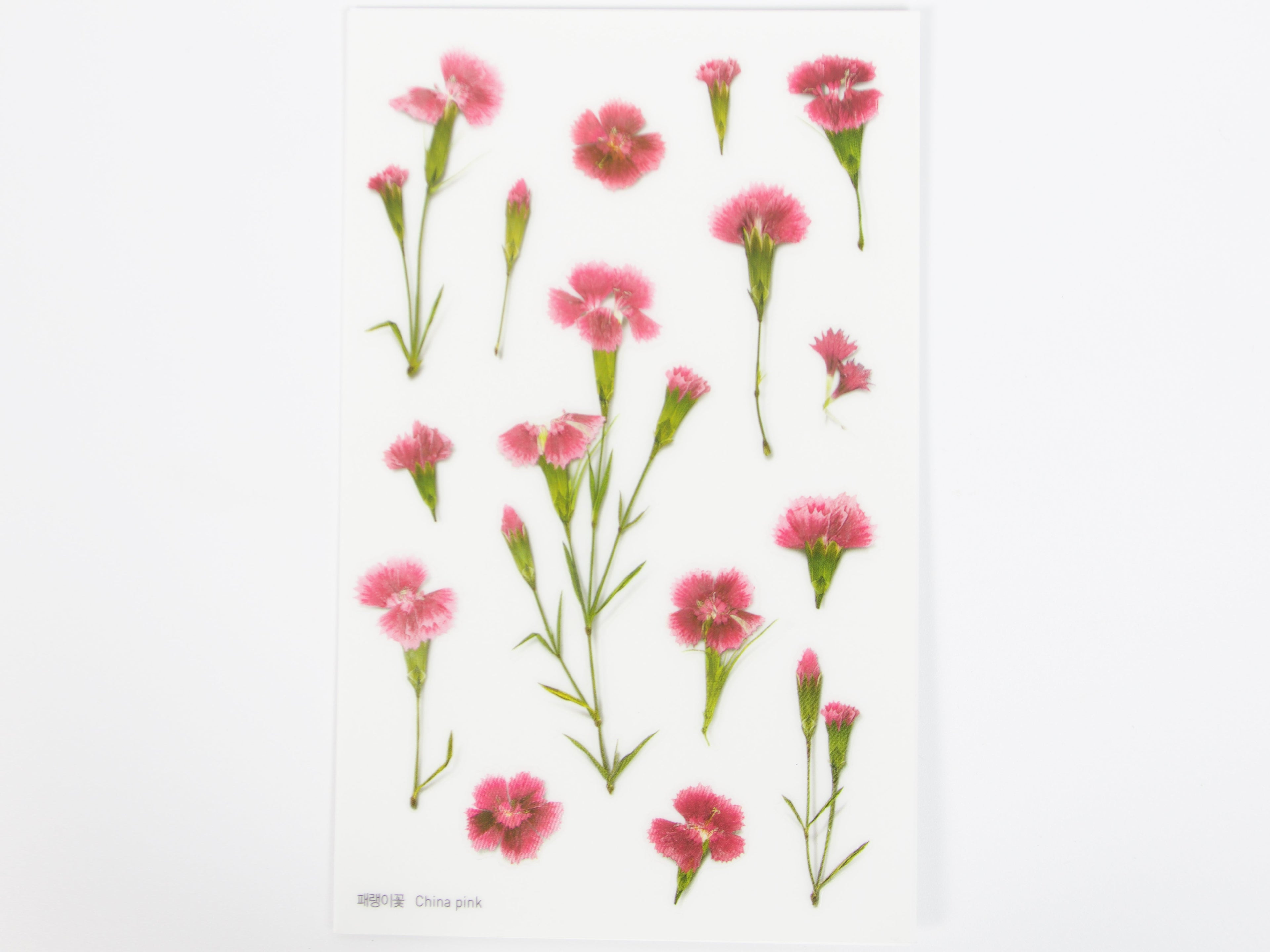 Appree Pressed Flower Stickers