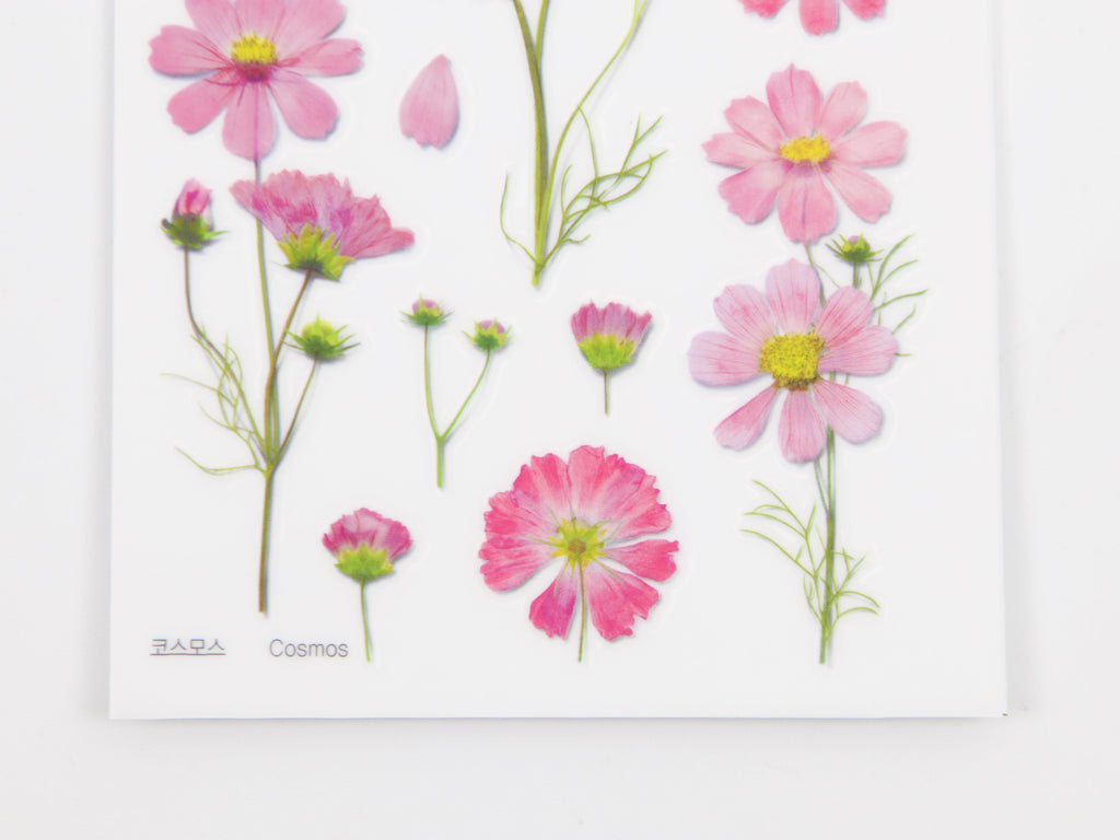 Appree Pressed Flower Stickers
