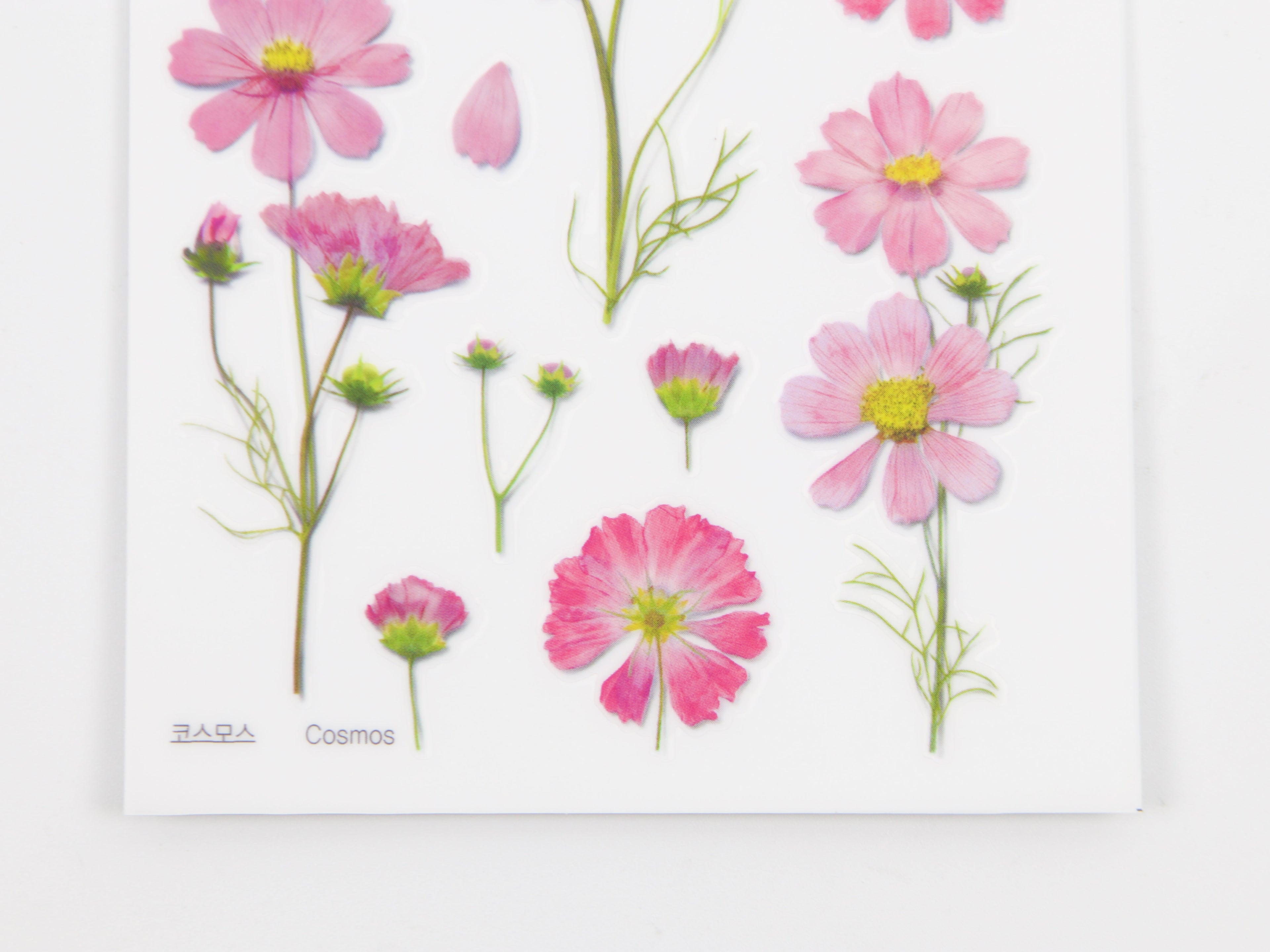 Appree Pressed Flower Stickers