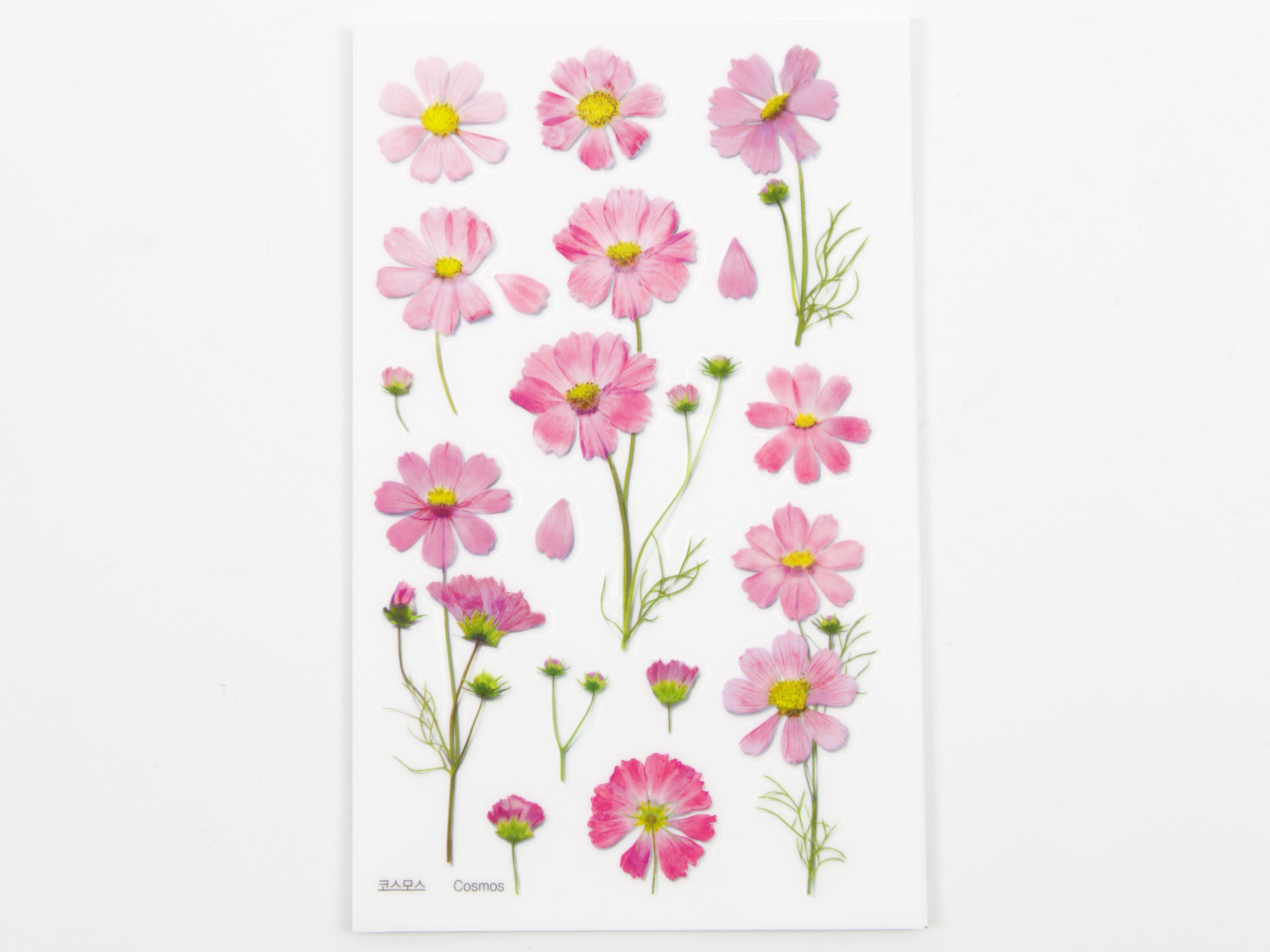 Appree Pressed Flower Stickers