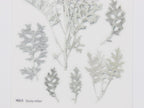 Appree Pressed Flower Stickers