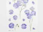 Appree Pressed Flower Stickers