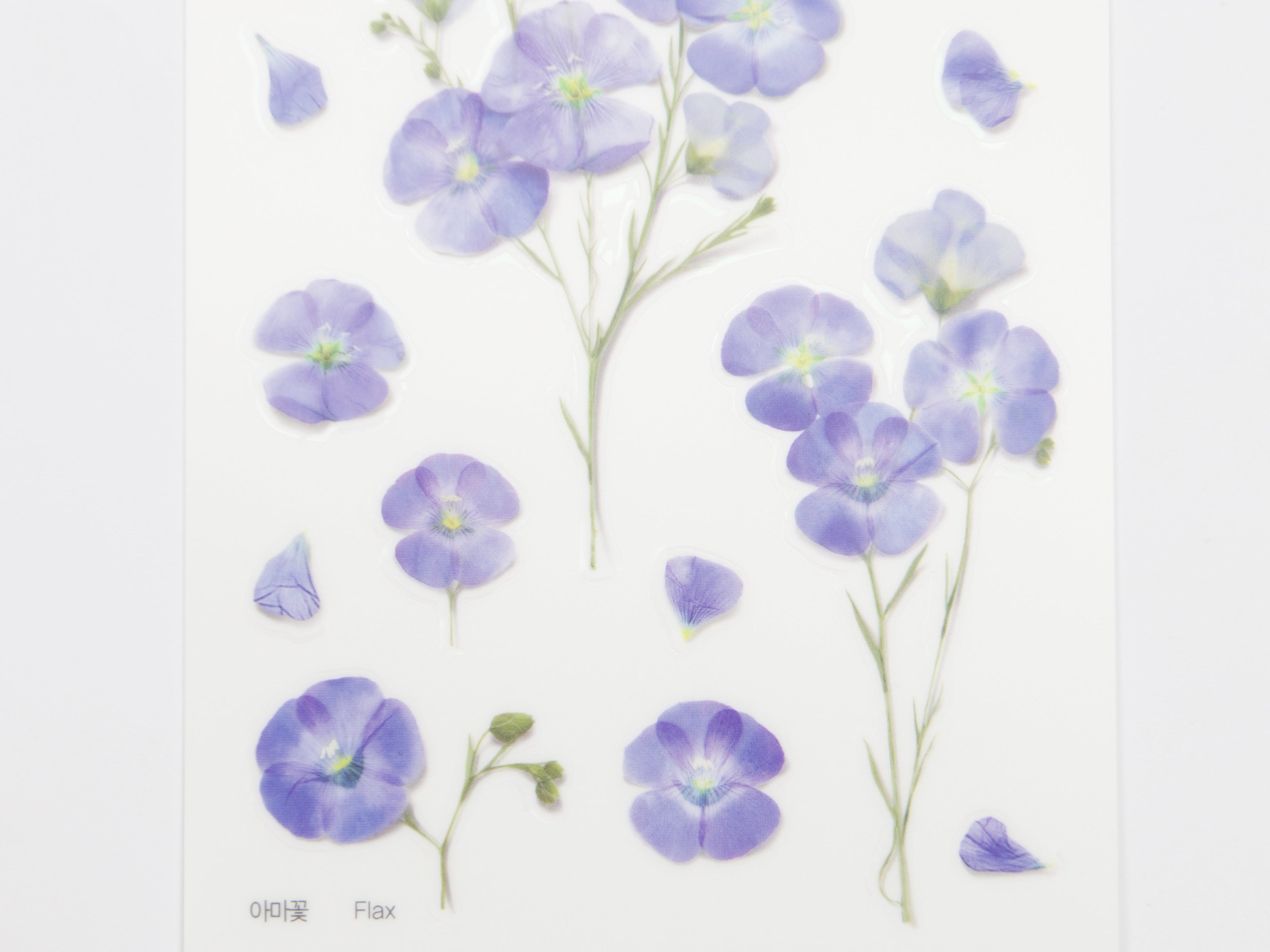 Appree Pressed Flower Stickers