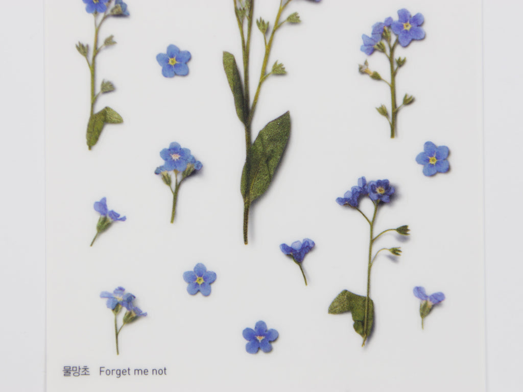Appree Pressed Flower Stickers