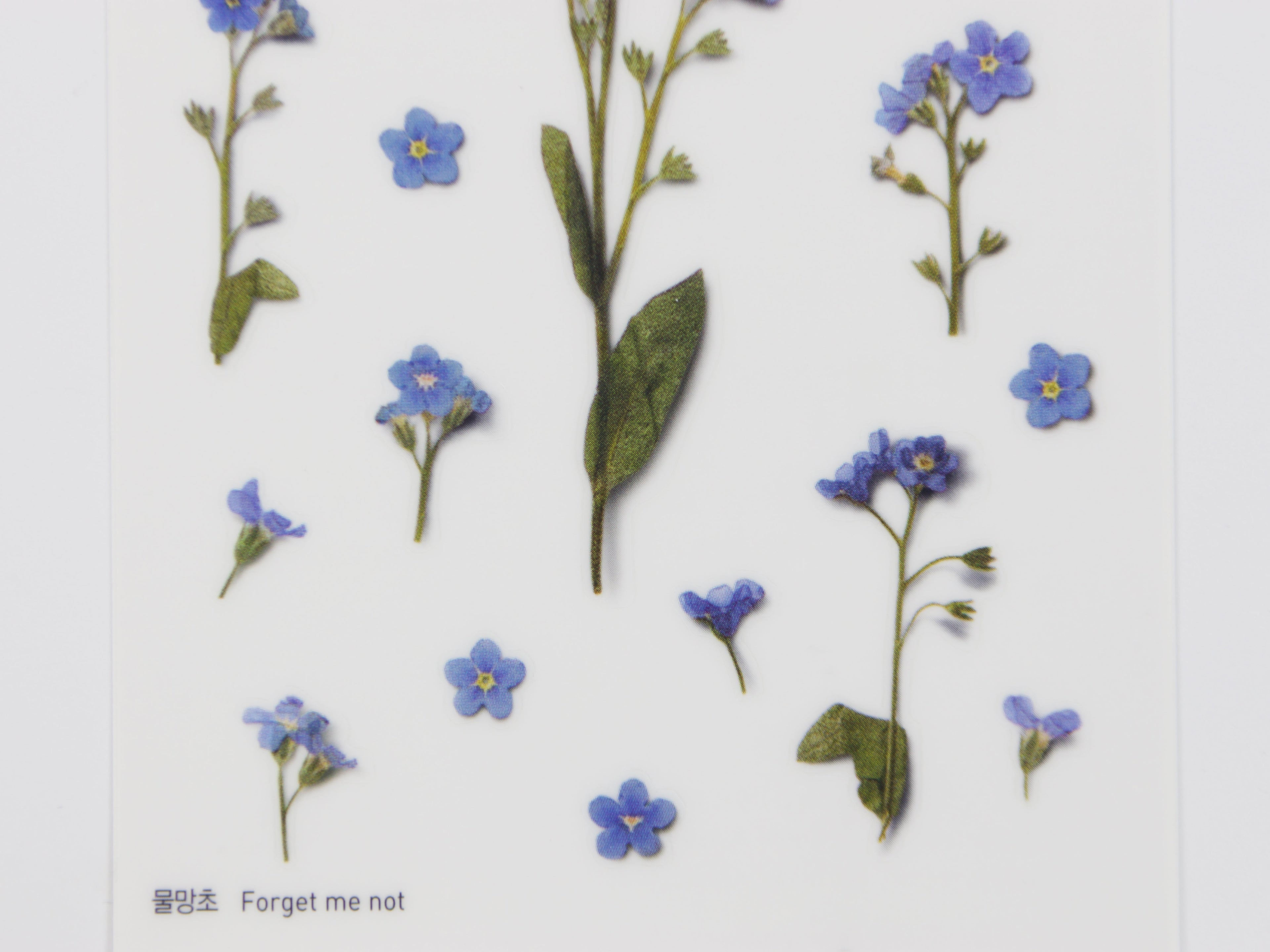 Appree Pressed Flower Stickers
