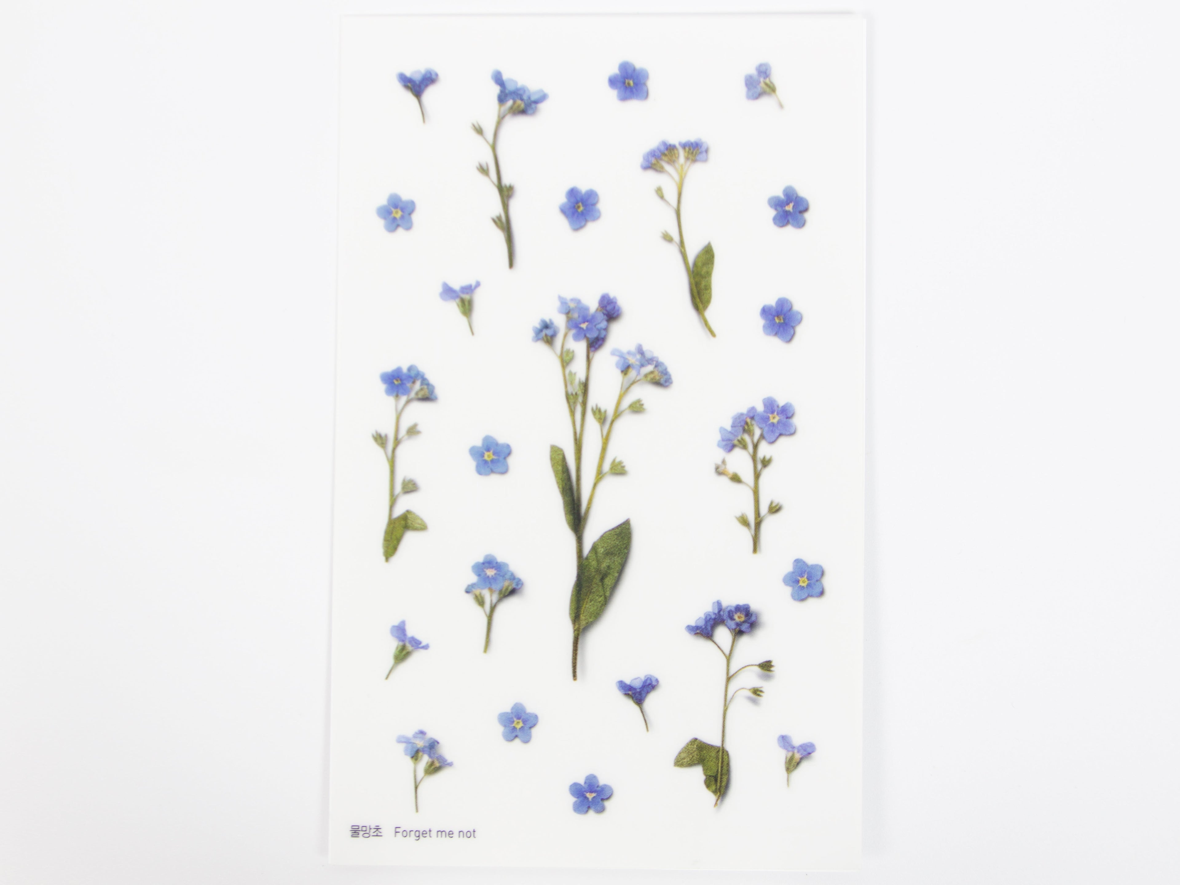 Appree Pressed Flower Stickers