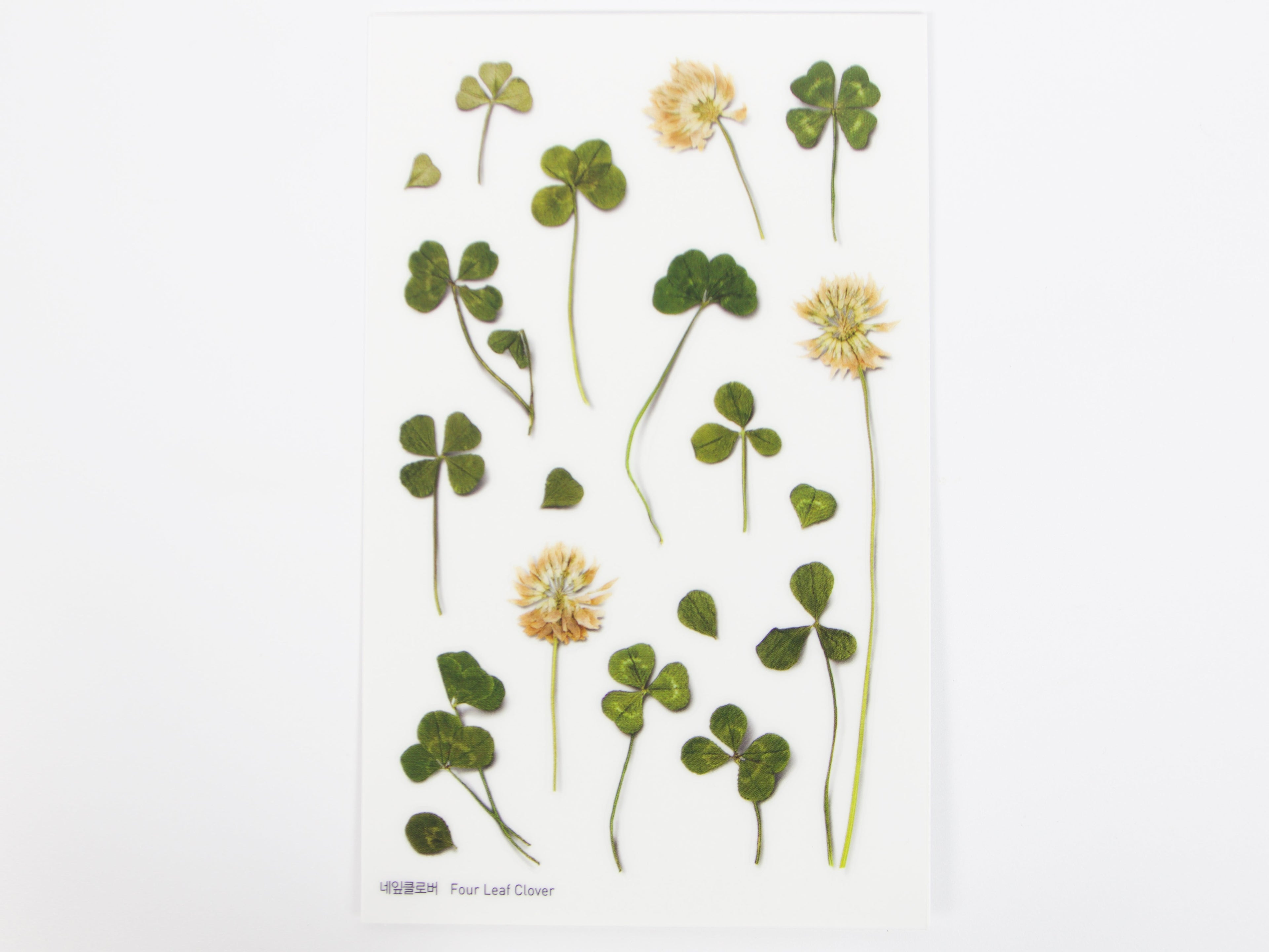 Appree Pressed Flower Stickers