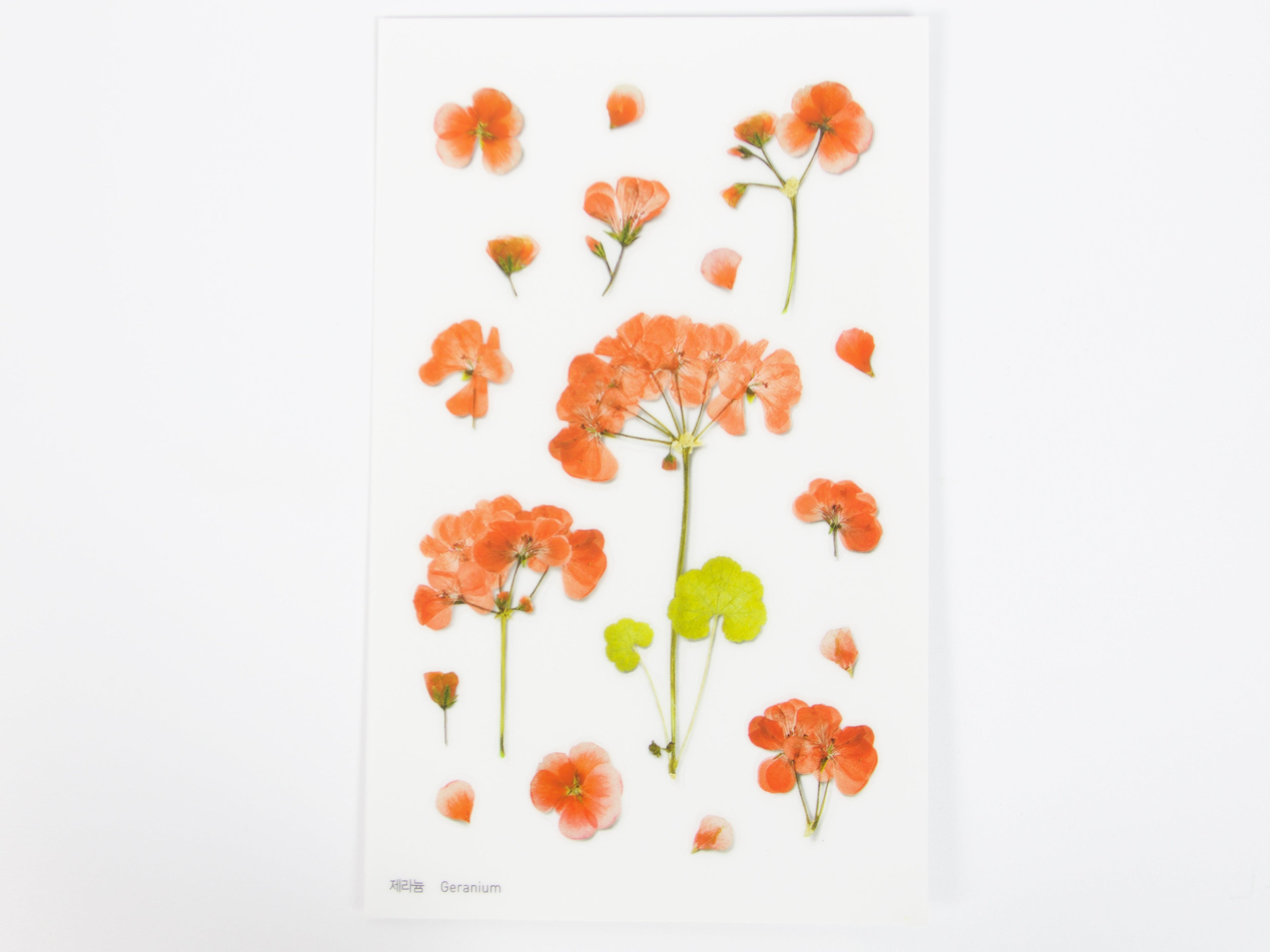 Appree Pressed Flower Stickers